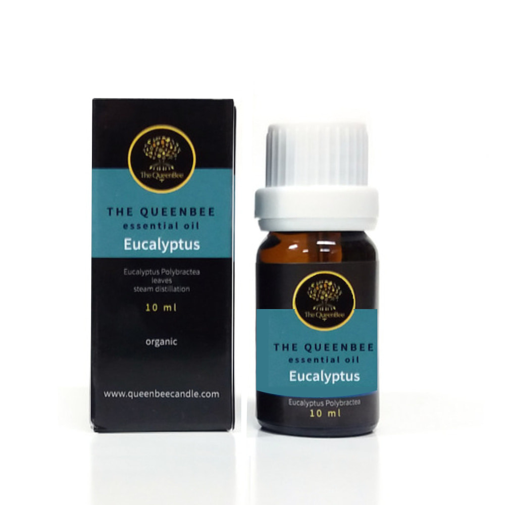 퀸비 에센셜 오일 유칼립투스 10ml 유기농